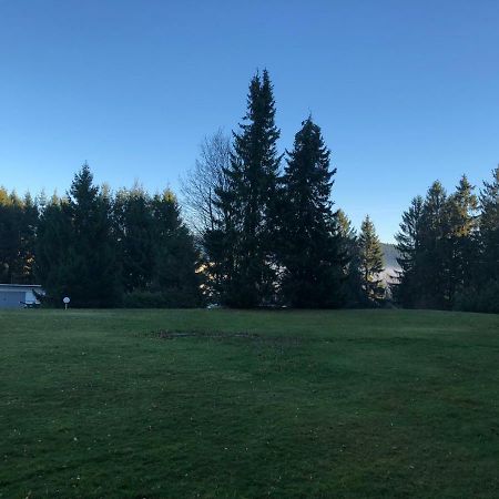 Hahnenklee Ferienpark 136 戈斯拉尔 外观 照片